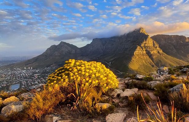 Hiking Lion's Head Sunrise or Sunset