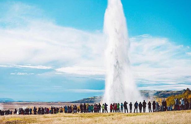 Golden Circle & Friðheimar Experience: Private Farm & Wonder Tour