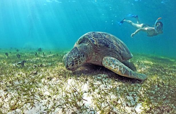 Exploring Nosy Sakatia with guide