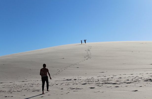 Discover the unusual sites of Dakhla in a 4x4 with a local guide