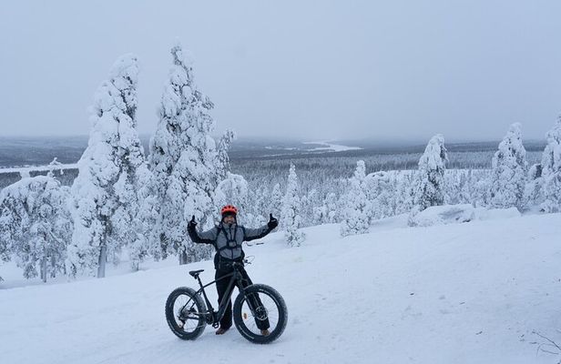 Electric Fatbike Tour in Winter