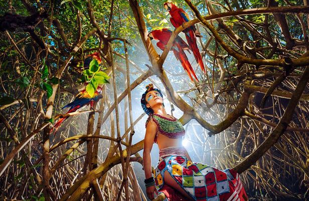 Xcaret Park Plus Access with Transportation and Night Show