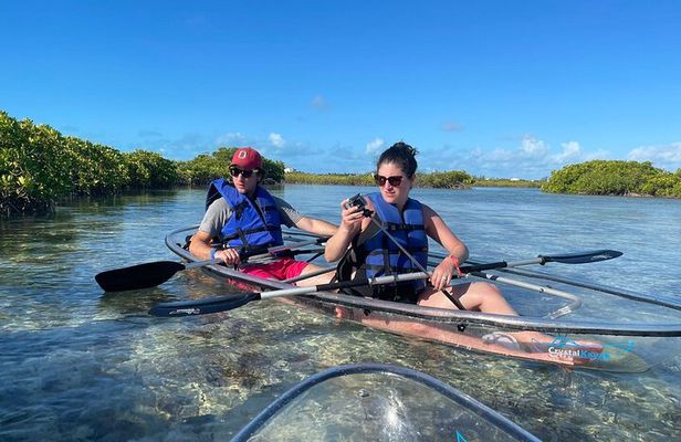 Mangrove Cay and Iguana Island Tours