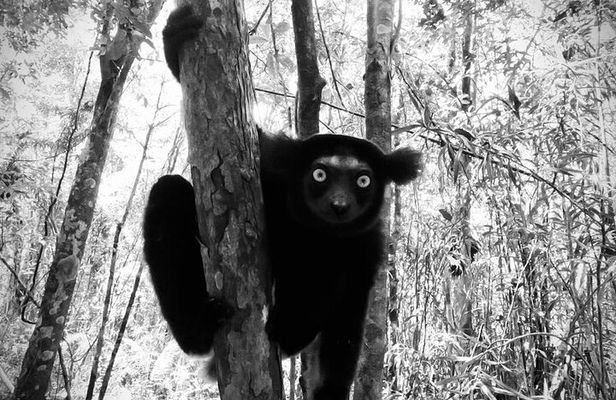 Private Nature and Discovery Tour in Madagascar