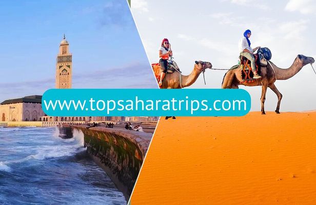 9 Day Tour from Casablanca via Chefchaouen, Fez, Marrakech & Desert