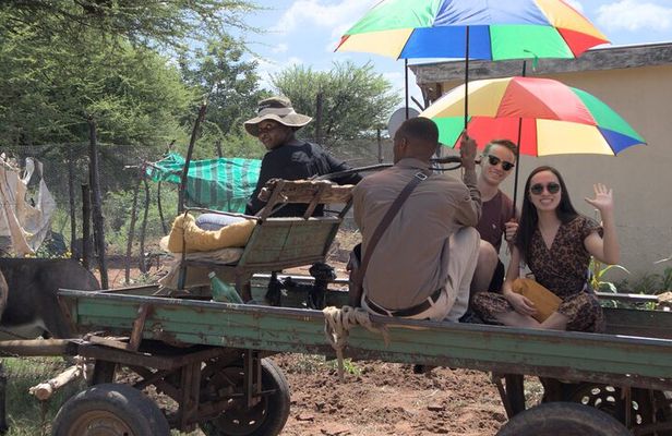Touring through nature and history near Gaborone 