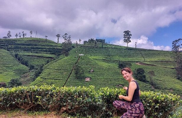Private Nuwara Eliya City Tour Including Main Attractions