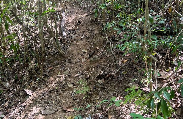 Mount Healthy National Park Private Hike Tour in Tortola