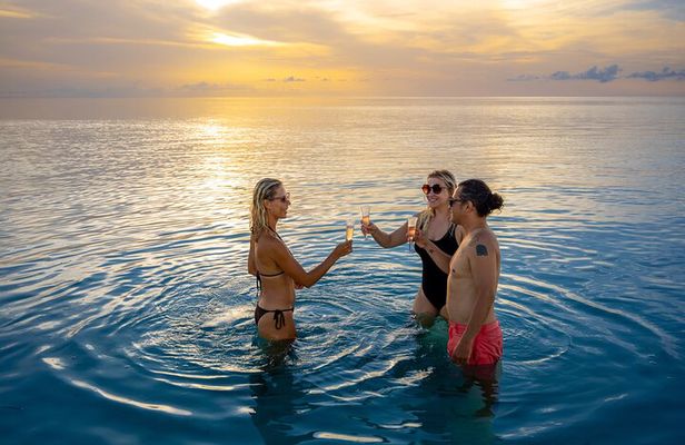 Private boat Charter Dolphin & Snorkeling tour Sandbar Key West