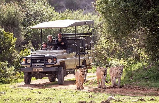 3 Days 2 Nights Garden Route Private Tour from Cape Town