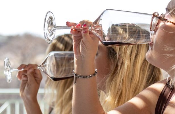 Wine tasting in Rhodes, inside the vineyards with the Producer