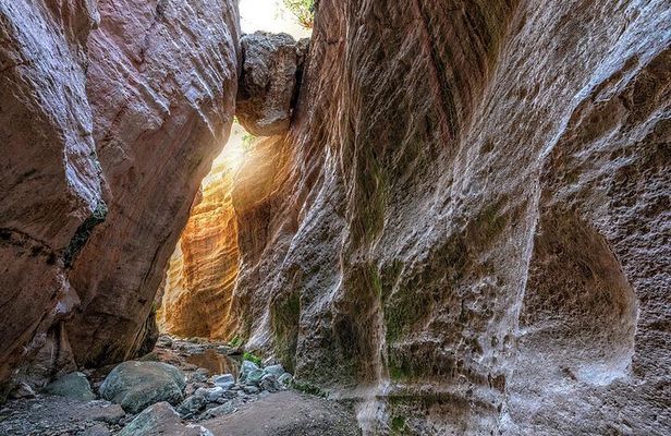 Jeep Safari to Akamas National Park: Avakas Gorge Tour from Paphos