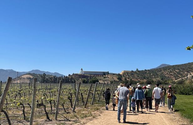 Full Day Private Tour in Casablanca Valparaíso and Viña del Mar
