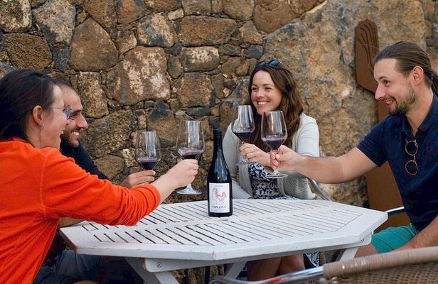 Vineyard tour with wine tasting and local products