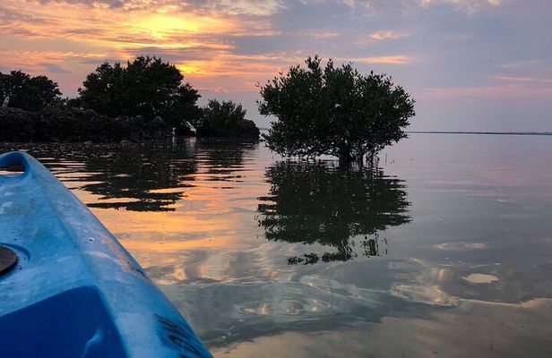 Eco Kayaking Adventure – Mangrove Exploration at Purple Island