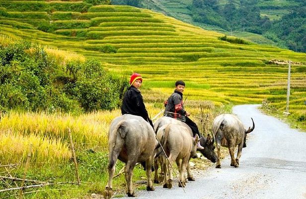 2-Day SAPA Trekking - Villages-Homestay-Ethnic-Local Food-Market