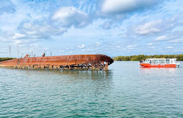 90 Minute Port River Dolphin & Ships Graveyard Cruise