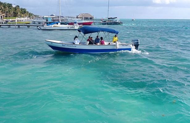 Snorkeling at Hol Chan Marine Reserve and Shark Ray Alley