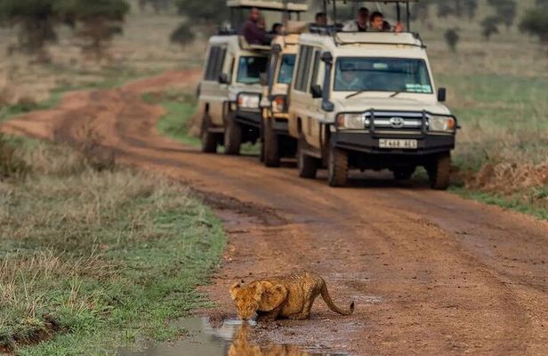 4 Days Serengeti, Ngorongoro and Tarangire Safari