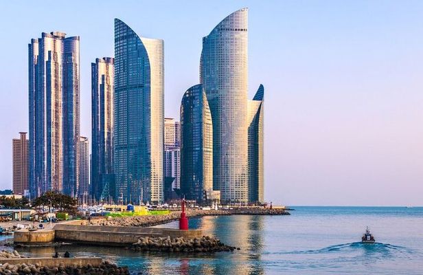 Private Custom Tour with a Local Guide Busan