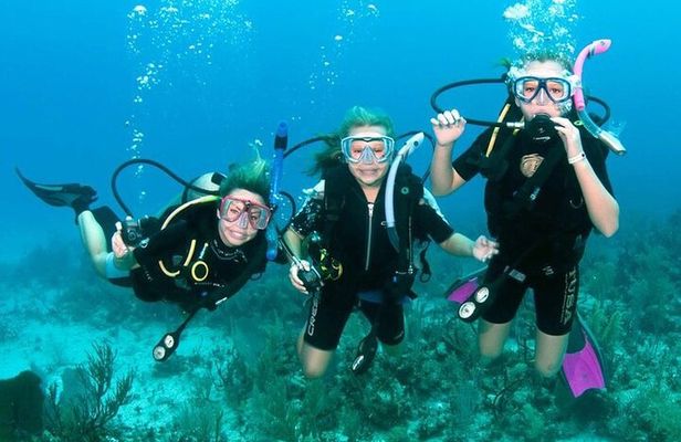 Scuba Diving Activity in Dubai with Hotel Pickup