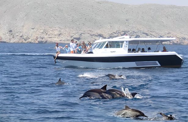 Dolphin Watching and Snorkeling Activity in Muscat