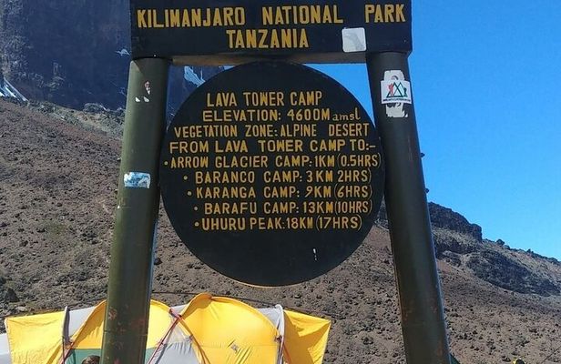 Mountain Kilimanjaro Climbing 8 Days Northern Circuit Route