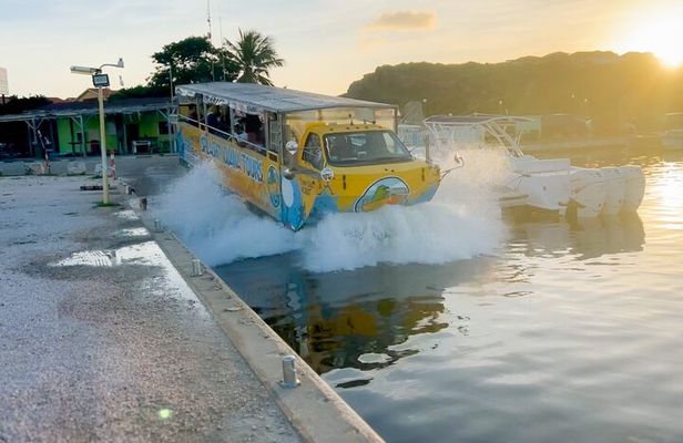 Splashy Iguana Tour in Curacao