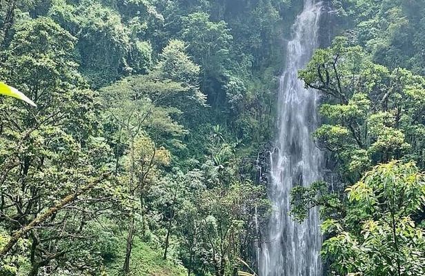 Materuni Waterfalls, Kikuletwa Chemka Hot springs, Coffee tour