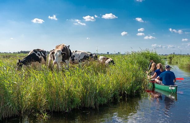 Guided Canoe Adventure with Picnic Lunch in Waterland from Amsterdam