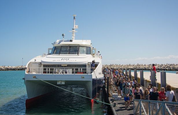 Full-Day Private Robben Island, Penguins & Cape of Good Hope Tour