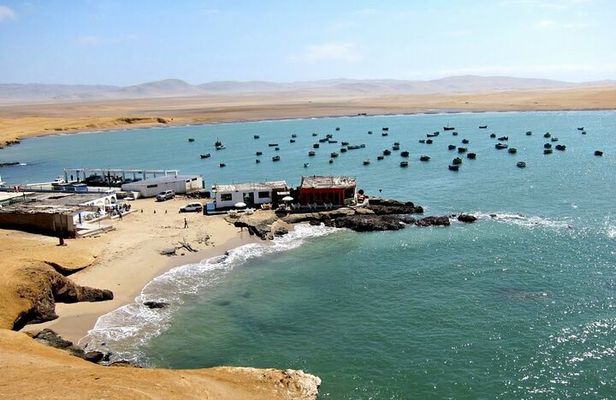 Ballestas Islands and Paracas Reserve Tour from Puerto San Martin