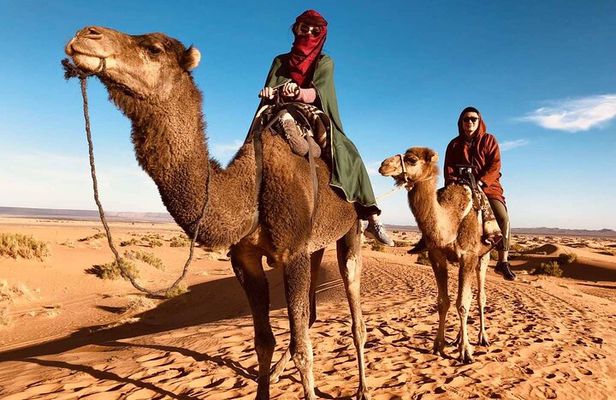 Private 2 Days Luxury Desert Tour from Fez to Fez (Fes to Fes)