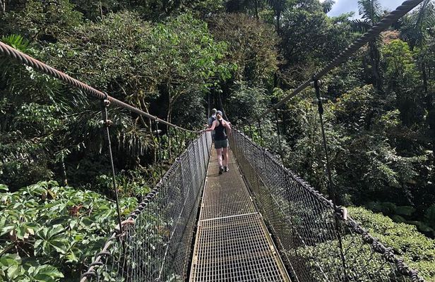 2-Hour Private Místico Hanging Bridges Naturalist Walk