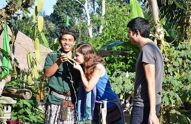 Traditional Cooking Class In Ubud With Local Balinese Family