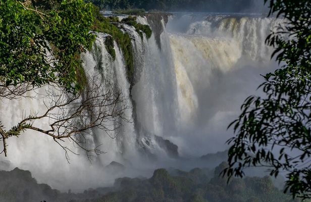 Iguassu Falls Brazilian Side & Bird Park & Macuco - Exclusive Gran Meliá Iguazú