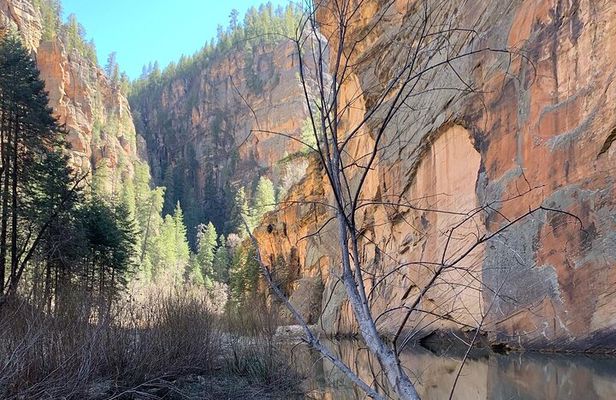 Guided backpacking and hiking trip on Arizona’s Mogollon Rim