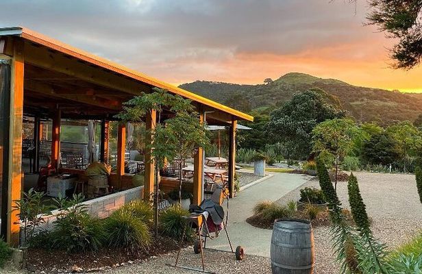 5 or 7 hour Far End of Waiheke Scenic Wine Tour in Electric Vans