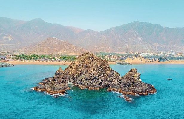Snorkeling with turtles in Fujairah with BBQ lunch 