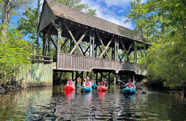 Kitty Hawk Maritime Forrest and Marsh Tour
