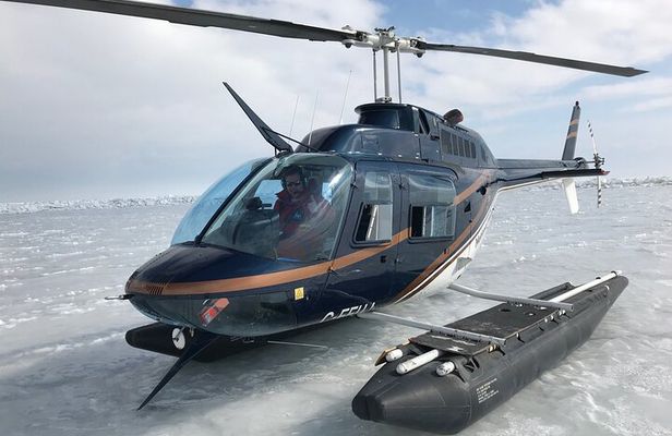 Private Tour: Niagara Falls Helicopter Flight