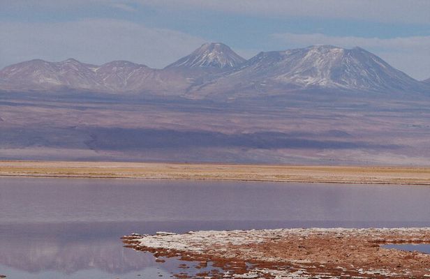 Tour to Laguna Cejar, Ojos del Salar and Laguna Tebinquiche