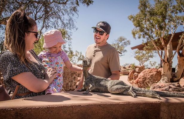 Dinosaur Canyon Experience Tour