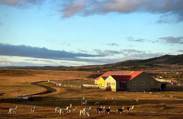 Estancia ,de la comuna de Laguna Blanca 