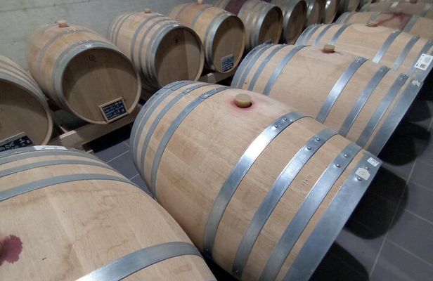 Half-Day Irpinia Wine Tour from SALERNO