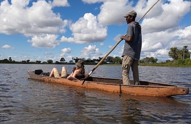 Mokoro Full Day Trip-Okavango Delta