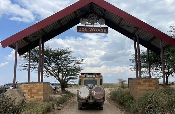 6 Day Tanzania Wildlife Mid range Safari