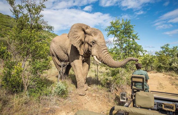 One Day Safari to Mikumi Departure from Zanzibar