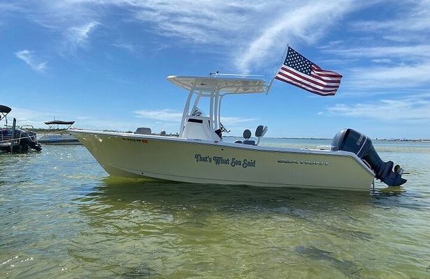 Madeira Beach - Shell Key - Dolphins - Half Day Private Boat Tour