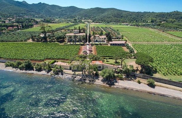3 Hours e-bike Tour with Wine Tour at Tenuta la Chiusa
